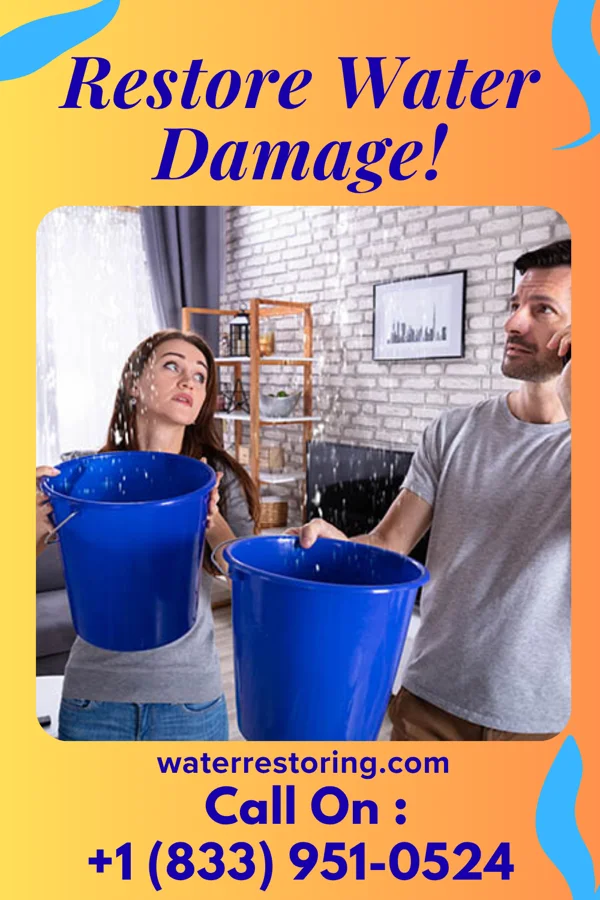 water restoration United Water Damage Authority Alachua